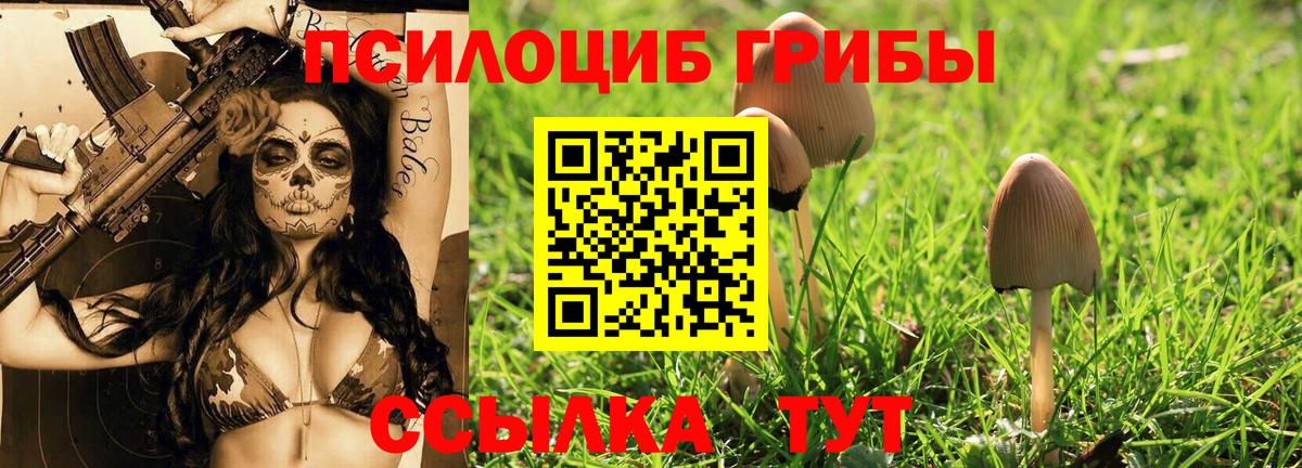 Псилоцибиновые грибы ЛСД  Галлюциногенные грибы GOLDEN TEACHER  Элиста  Вход с VPN 