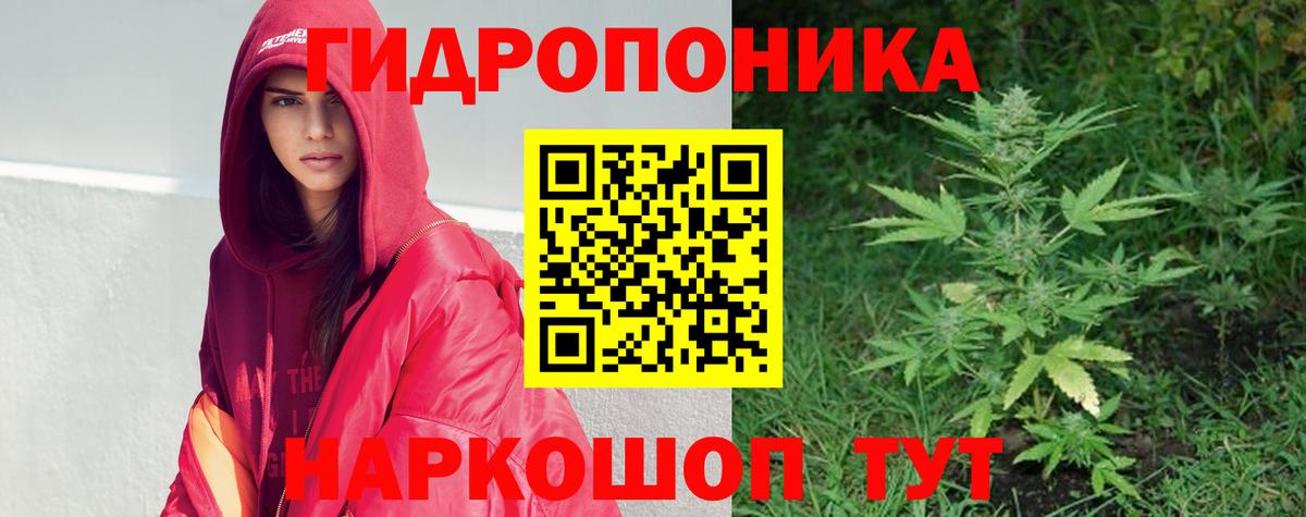 Бошки марихуана планчик  Вход с VPN  Элиста  Канабис план  МАРИХУАНА MAZAR 